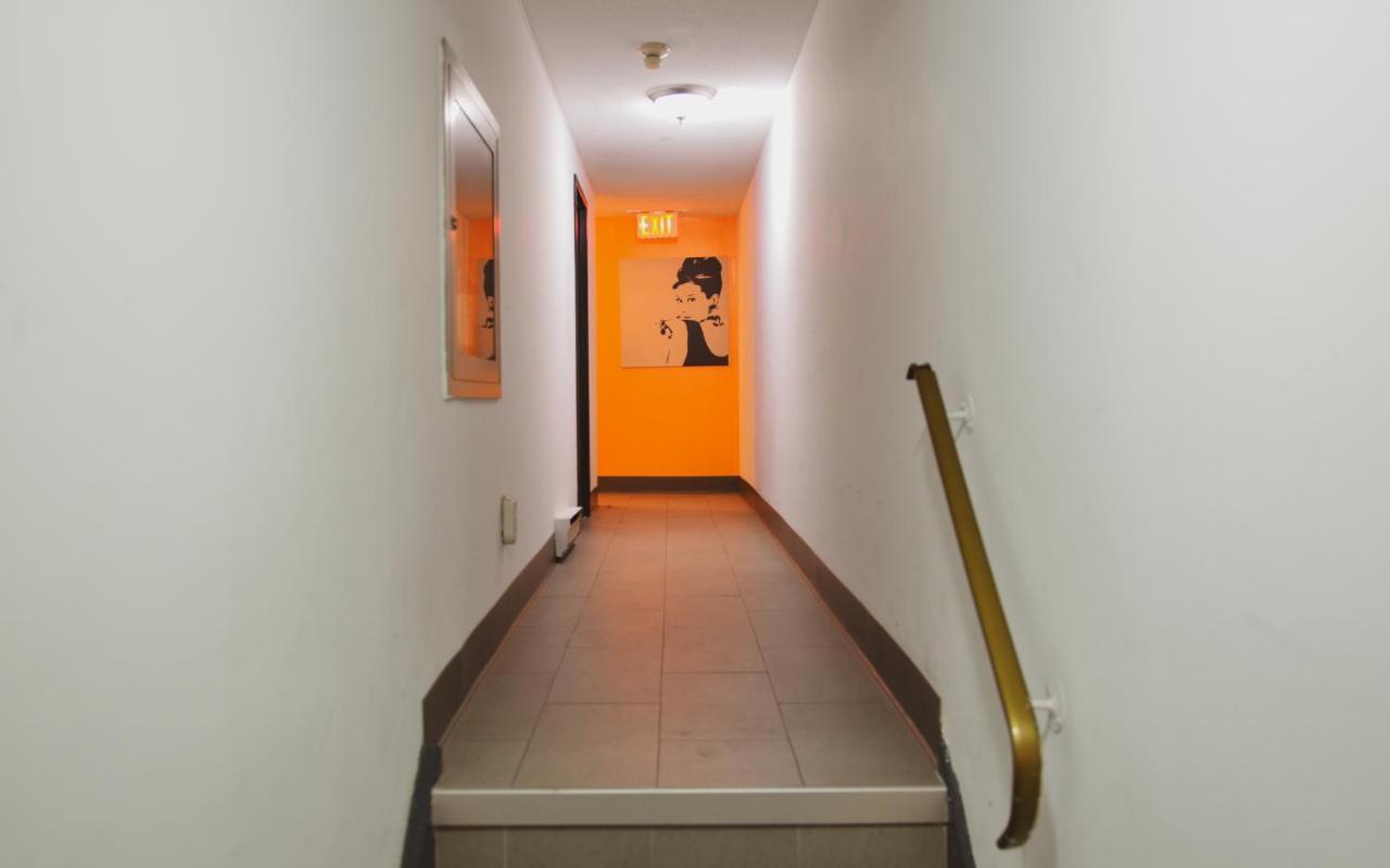Auberge de jeunesse Kensington College Backpackers à Toronto Extérieur photo